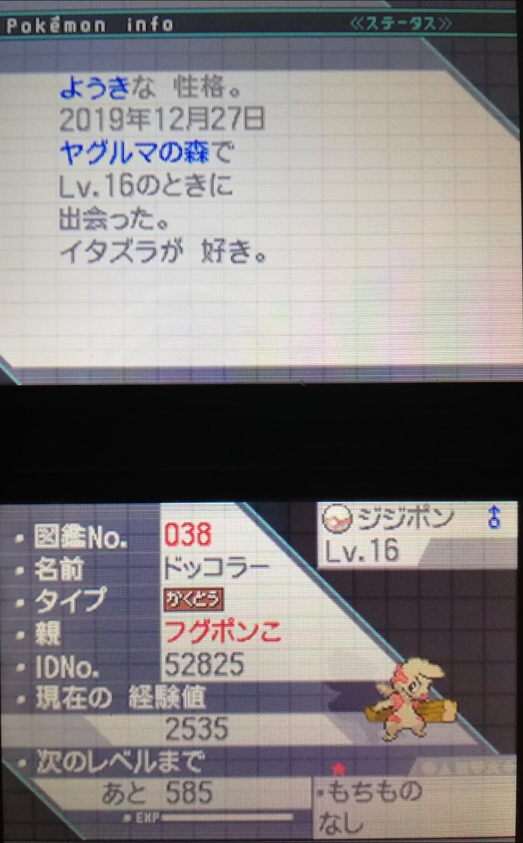 フグポン酢 うおぉおおおおお ホワイトで5か月ぶりの色モンゲットだぜ しかも1日に2匹 でも神様 なんでダブルドッコラー ポケモン 色違い フグポン酢 うおぉおおおおお ホワイトで5か月ぶりの色モンゲットだぜ しかも1日に2匹 でも神様 なんでダブルドッコラー ポケモン 色違い