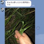 友達が聞いた事ない酔い方してた!それ水仙だったらヤバない…？
