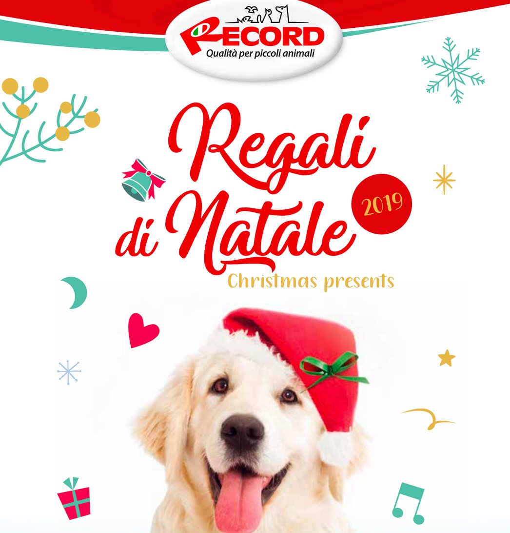 recordpet tweet picture