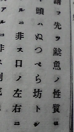 鯰公たちの頭頂部の形容 → ぬっぺら坊 (明治11) 