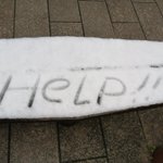 ツイートに含まれる画像