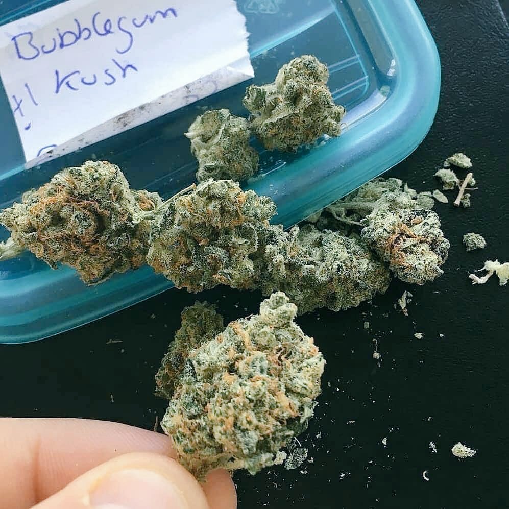BosPriime's tweet photo. Livraison à domicile 
Inbox via WhatsApp👇
+33 6 44 68 7503
Wickr//bossmaxx
Snap// priincew
#beuhh #beuhlife #beuhler #beuhairsalon #beuhlers #beuhair #beuhaditirafet #beuhairdesign #beuhbeuh #beuhairstudiollc #beuhtymakeup #beuhvsweed #beuhhhhh #beuherbs #beuhhhh #beuher #beuhhh https://t.co/Z8JGBV9oQh