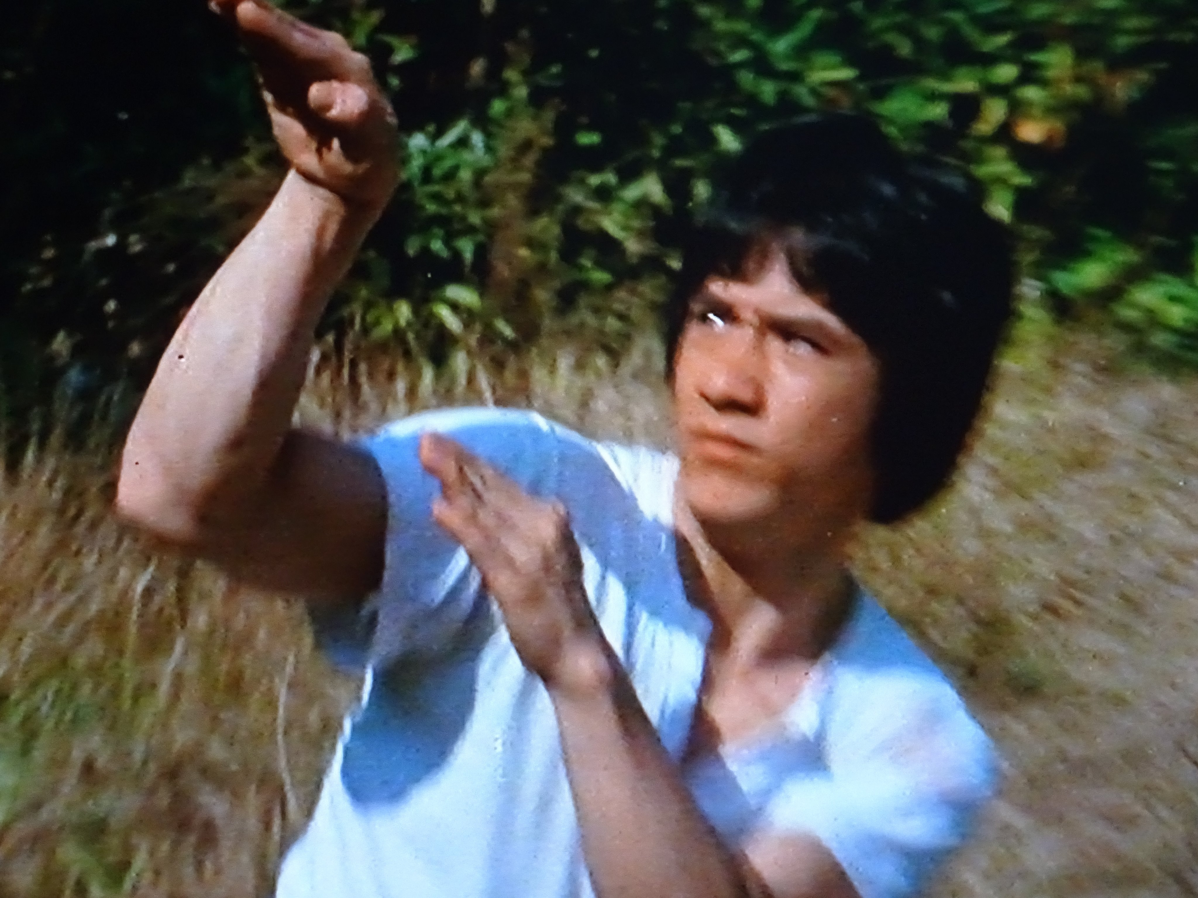 Uzivatel 星座 Na Twitteru ジャッキー映画 蛇拳 拳シリーズでは やはり３本指作品 酔拳もいいが 型としては蛇拳が一番 かっこいい 修行シーンも見逃せない まだまだ元気でいて欲しいジャッキーチェン ジャッキー映画 T Co Jlqty9ghdp Twitter