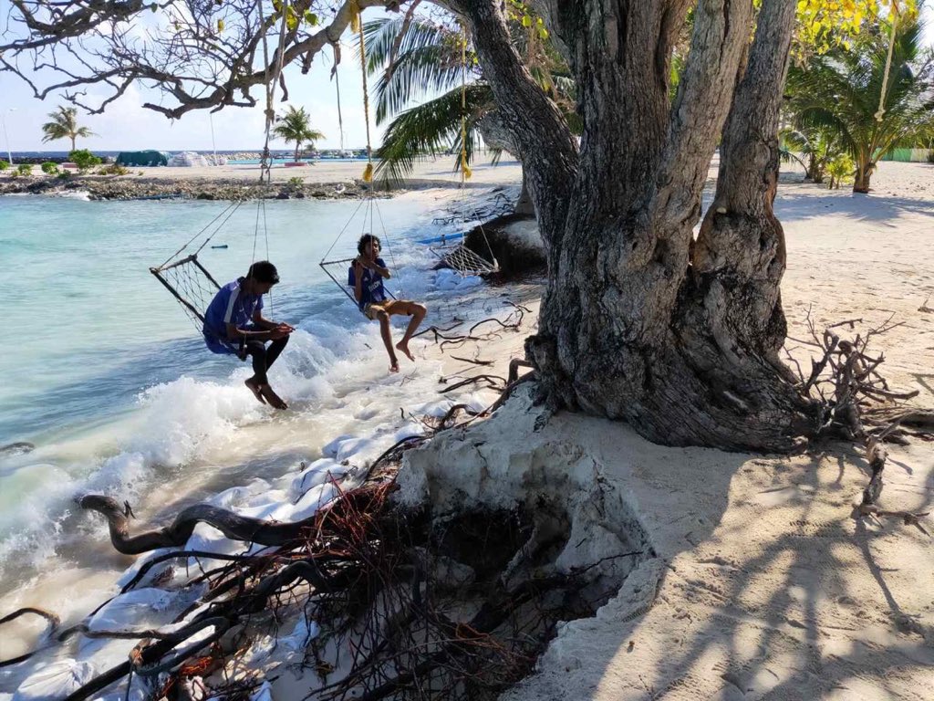 SaveFainu's tweet photo. ރ.ފައިނު ދަނީ އާދަޔާޚިލާފަށް ބޮޑަށް ގިރަމުން. ރަށުގެ އަތިރިމަތީ ހުރި ވަރަށް ޒަމާންވީ ބިޔަ ބޮޑެތި ކާނިގަސްތައް މިހާރު ވެއްޓެނީ. މިކަމަށް އަވަސް ހައްލެއް ހޯއްދަވައި ދެއްވާ!

@DrHussainHassan https://t.co/zHXXZI9EB5