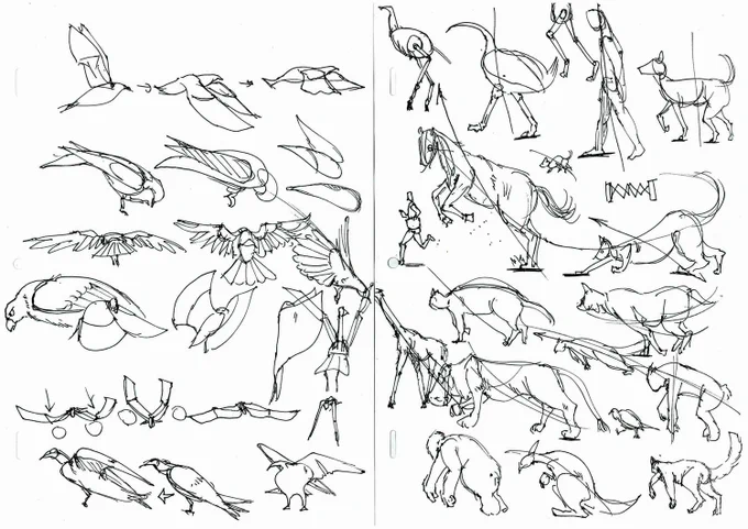 鳥の絵を描く練習をまとめたやつです
#冬の創作クラスタフォロー祭  
#創作クラスタさんと繋がりたい
#絵描きさんと繫がりたい 