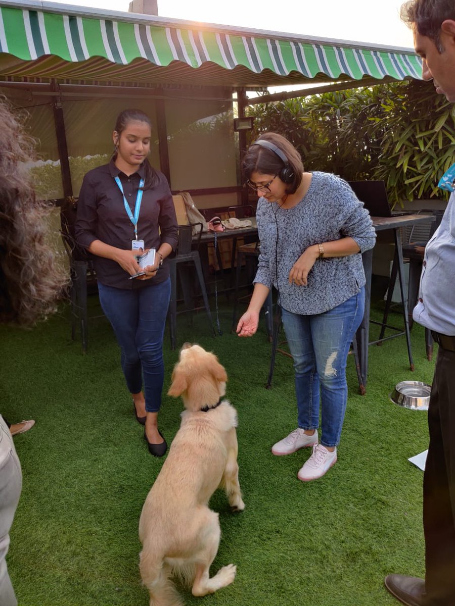 innov8cowork's tweet photo. The best therapist in the world has fur and four legs. 🐾🐶
A perfect stress-relieving session of pet therapy at Innov8 Coworking Boston House, Mumbai campus.
#LifeAtInnov8 #Innov8Coworking #RevolutioniseWork https://t.co/10GXjXu0bY