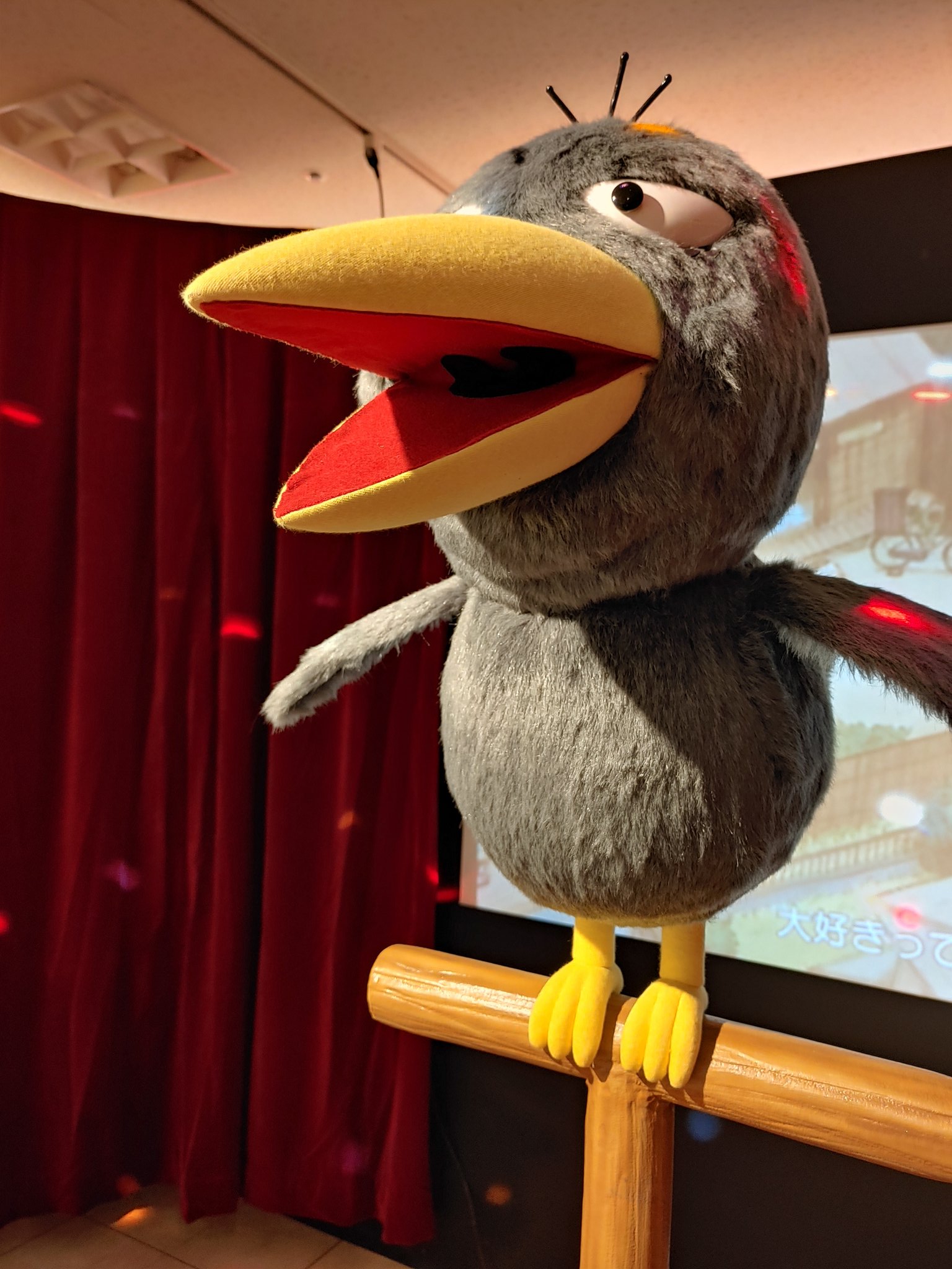 So Chan 今日は仕事納めでした 仕事帰りに松坂屋静岡店で開催されてる チコちゃんに叱られる静岡祭り に行ってきて キョエちゃんグッズをいっぱい買ってきたよ キョエちゃん可愛かった W T Co Gqupxi3d4o Twitter