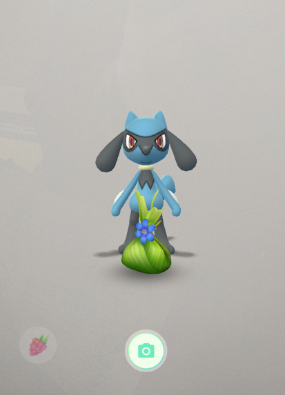 蛟 みずち 私 最初リオルにしてたのよ 技開放用の飴欲しくて でもバトルに参加させた方が良いようなので途中でこの前作ったバンギにしたの マックス強化 技開放用の飴 でも連れ歩くとか遊ぶなら アチャモが絶対可愛いと思うのよねー 余裕ができたら