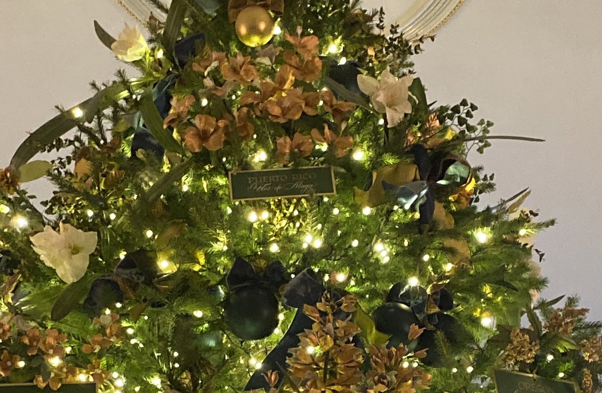 LibardoPresTA's tweet photo. La prensa de PR tampoco informa que en el Blue Room en Casa Blanca hay un árbol de Navidad adornado con flores de los 50 estados y territorios. PR está presente con la Flor de Maga . https://t.co/uKrti6EEqW