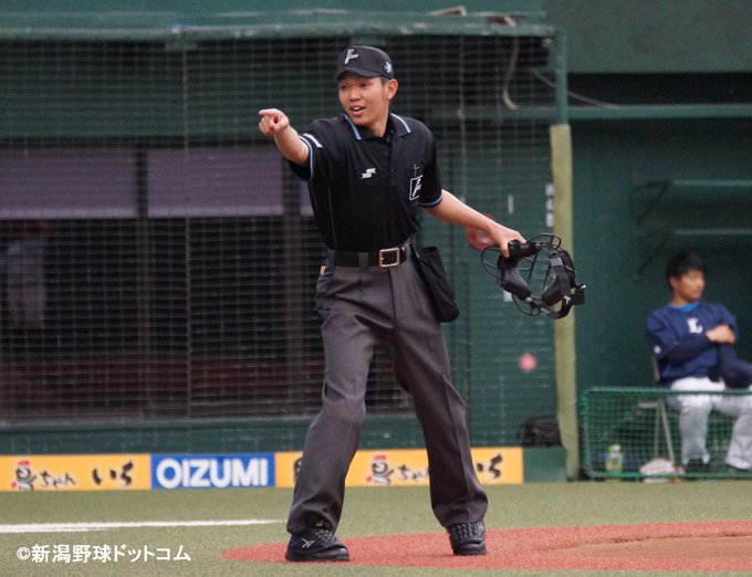 新潟野球ドットコム Niigatayakyu Twilog