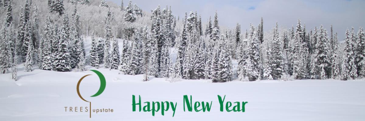 December Tree Care Tip: How to Prepare Your Trees for Colder Weather conta.cc/2ETVSwj