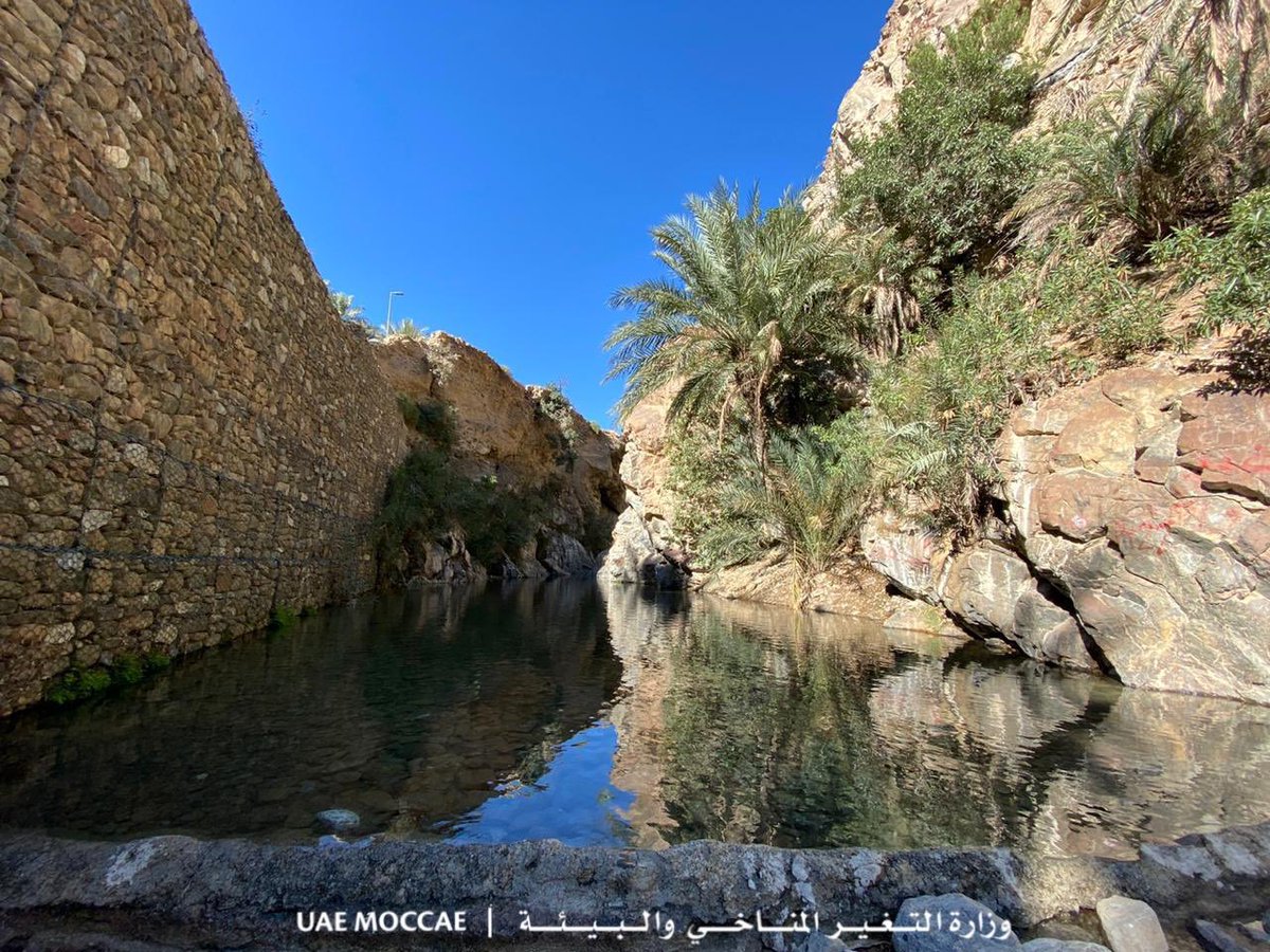 "يمثل الحفاظ على الموارد الطبيعية وضمان استدامتها أحد أولويات #الإمارات، وبالأخص الموارد المائية التي حظيت بمسيرة من الاهتمام المتواصل بدأها أجدادنا عبر اعتماد حلول مبتكرة لتحقيق #المستدام في مقدمتها نظام ري #الأفلاج" 
معالي الدكتور ثاني الزيودي