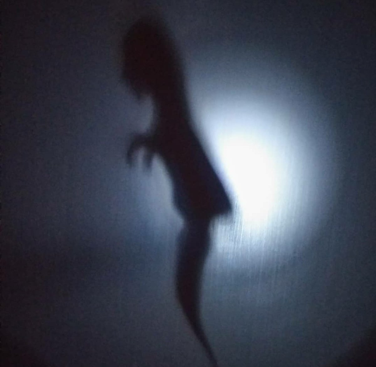 ホラー アカデミア Twitter Search