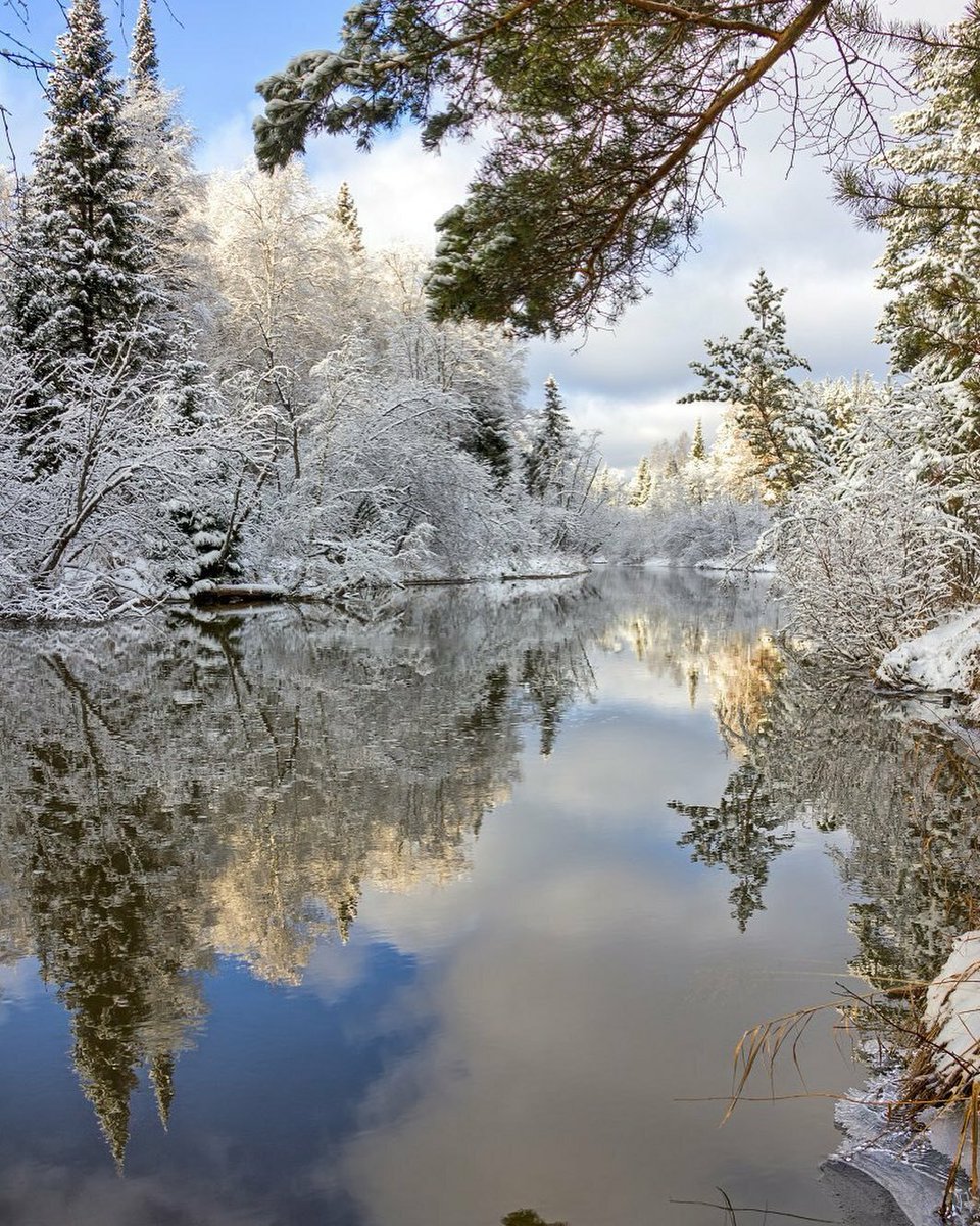 Krasoti_Rossii's tweet photo. Зимняя сказка.
#КрасотыРоссии #Красоты_России #Россия https://t.co/57rTRggJnm