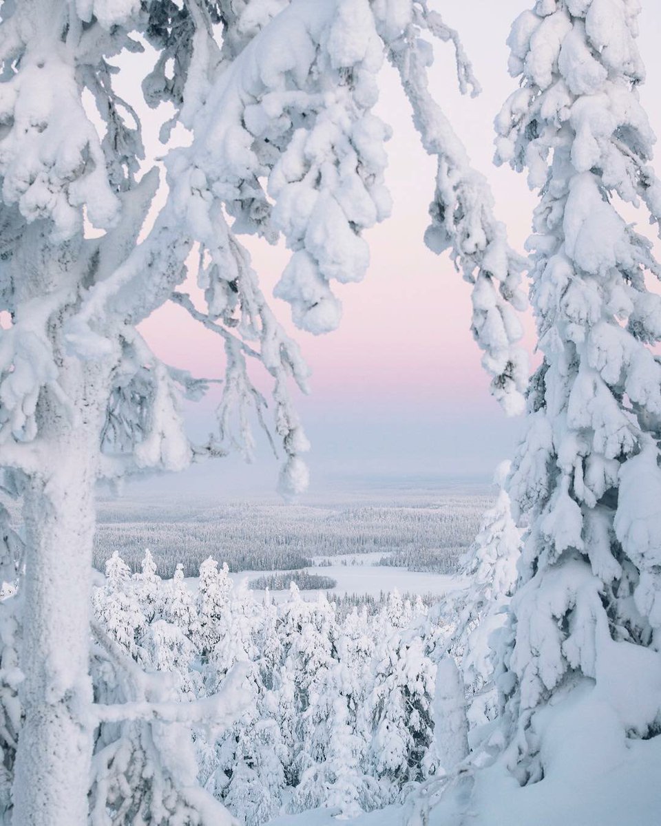 Krasoti_Rossii's tweet photo. Зимняя сказка.
#КрасотыРоссии #Красоты_России #Россия https://t.co/57rTRggJnm