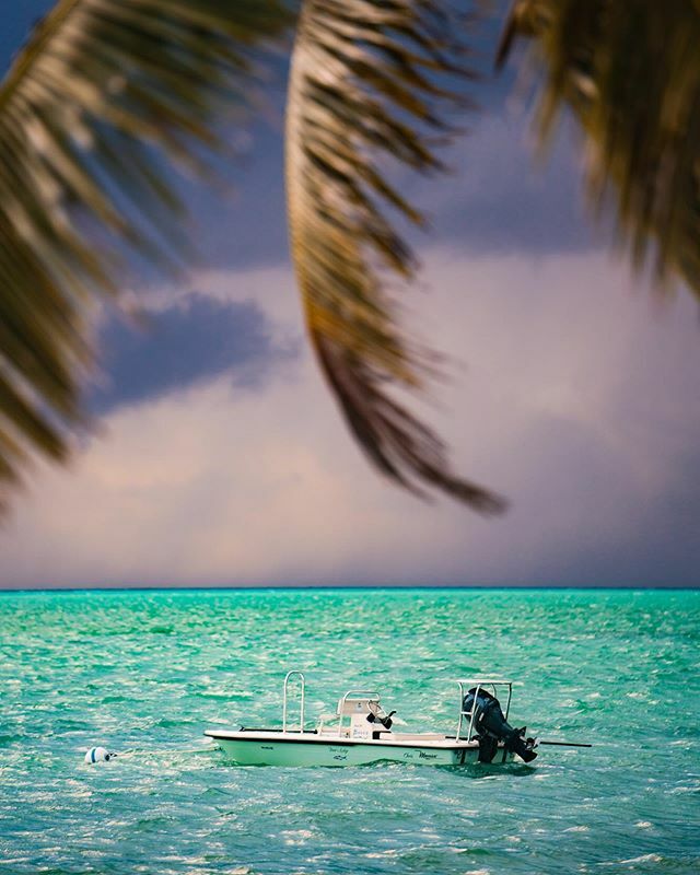 BadfishTv's tweet photo. My kind of sled

@bairslodge @kyleschaeferflyfishing 
#bonefishonfly #bonefishing #bahamasfishing #flyfishing @maverickboats https://t.co/u5AAWMUctg https://t.co/vg0z9xZDqv