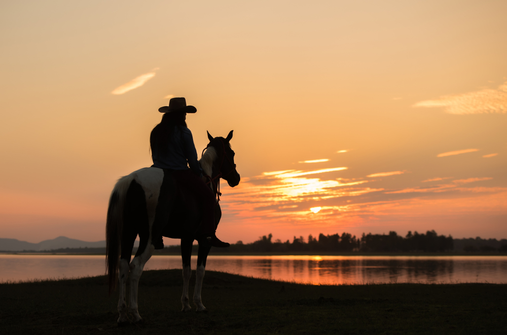 We hope you've been enjoying your holiday time with family &amp; friends. For those who struggle this time of year, you're in our thoughts!
Cheers to 2020 being the best year ever! 
#TEXAS #appraisals #commercialrealestate #NewYears