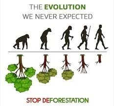 prajwalshetty_s's tweet photo. The EVOLUTION we never Expected!!
.
Stop DEFORESTATION!!
 #Deforestación #Evolución #stop #TreeofLife #TreesforClimate #treemask 
🙂🙃 https://t.co/igz0ebLjnM