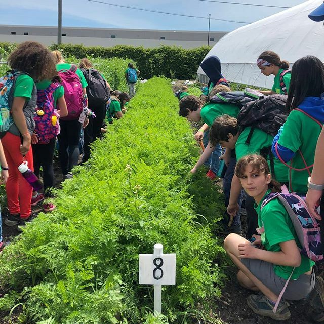 Over the past year, our farm has hosted all kinds of community groups, from scouts to students and even religious and corporate groups. We love creating unique group activities and team building opportunities, like farm tours, volunteer days and more!
.
… ift.tt/2SH6Ptx