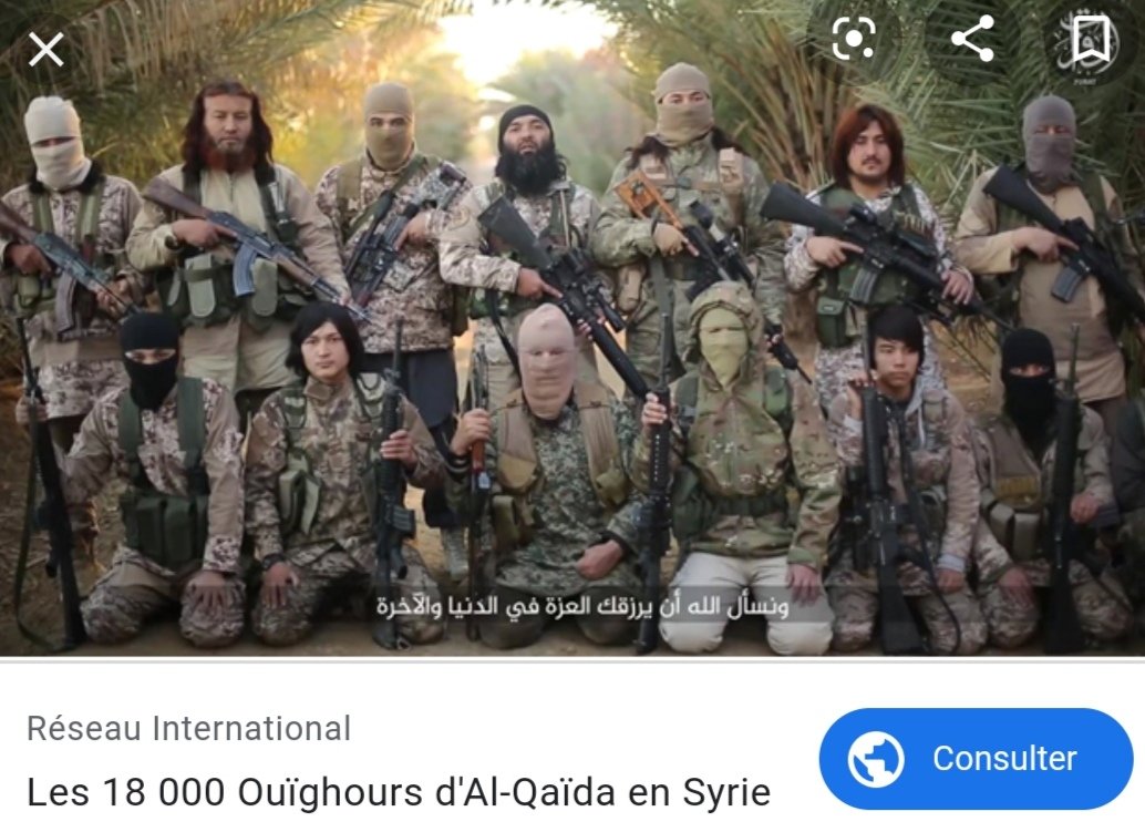 🇫🇷Gadsden 🤷🏼‍♂️ tweet media