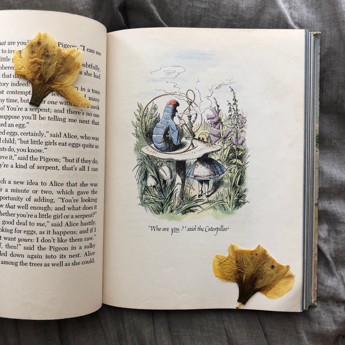 Me encantan los libros viejos: como objetos bellos, por cómo huelen, porque se suelen abrir por la página que su anterior propietario leía más a menudo... Y, sobre todo, adoro la sorpresa de encontrar entre sus páginas, como tesoros, recuerdos de la vida de quien los leyó.