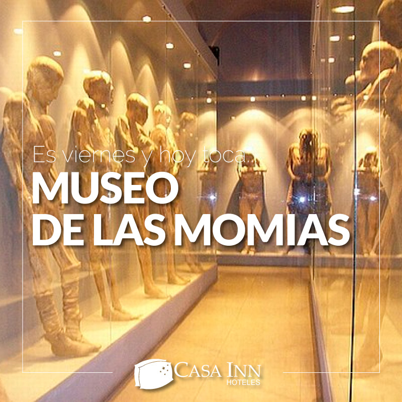 CasaInnHoteles's tweet photo. Es viernes y hoy toca... visitar el Museo de Momias
Son 23 momias encontradas desde hace 35 años por el señor Güero Vallejo, Administrador en esa época del Panteón. Decidió no enviarlas a Guanajuato para que #Celaya tuviera su museo.
¡Ven a conocerlo! #HoyTocaCasaInn #CasaInn https://t.co/aG8RaTn19h
