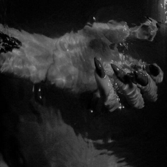 ㅤㅤ

              𓇡𑁍̤; 𝘔𝘖𝘕𝘖𝘙𝘖𝘓𝘌𝘚.

ㅤㅤ