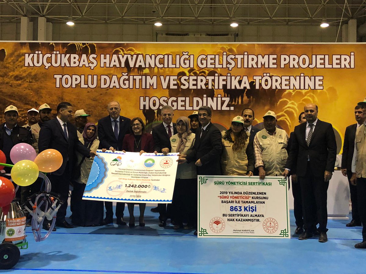 GAP İdaresi Başkanlığı tarafından yürütülmekte olan “Tarımsal Üretimin Destekleme Programı” kapsamında desteklenen “Küçükbaş Hayvancılığı Geliştirme Projeleri Makine ve Ekipman Toplu Dağıtım ve Sertifika Töreni” Gaziantep'te gerçekleştirildi.