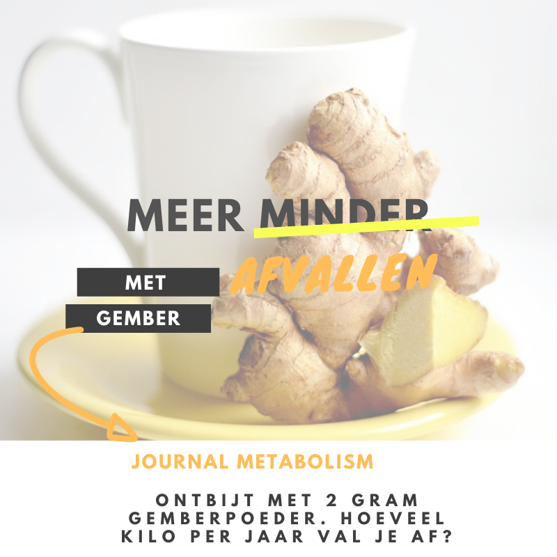 GoedGezond1's tweet photo. 2 gram gemberpoeder bij het ontbijt. Hoeveel val je dan per jaar af?  Journal Metabolism https://t.co/PtVEukVGVN https://t.co/DBqYb64gpH