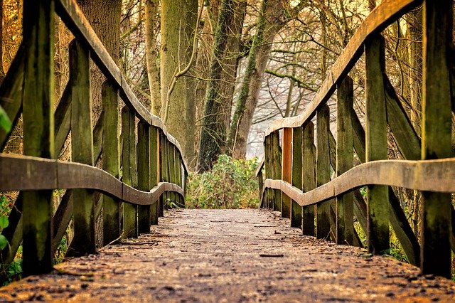 teresamolter's tweet photo. Having the #courage to cross into the new decade speaks volumes in YOU! When you cross, what is on the other side? #gratitude #gratitudeiskey #teresamolter #jmt https://t.co/wUoC7TS7Dq