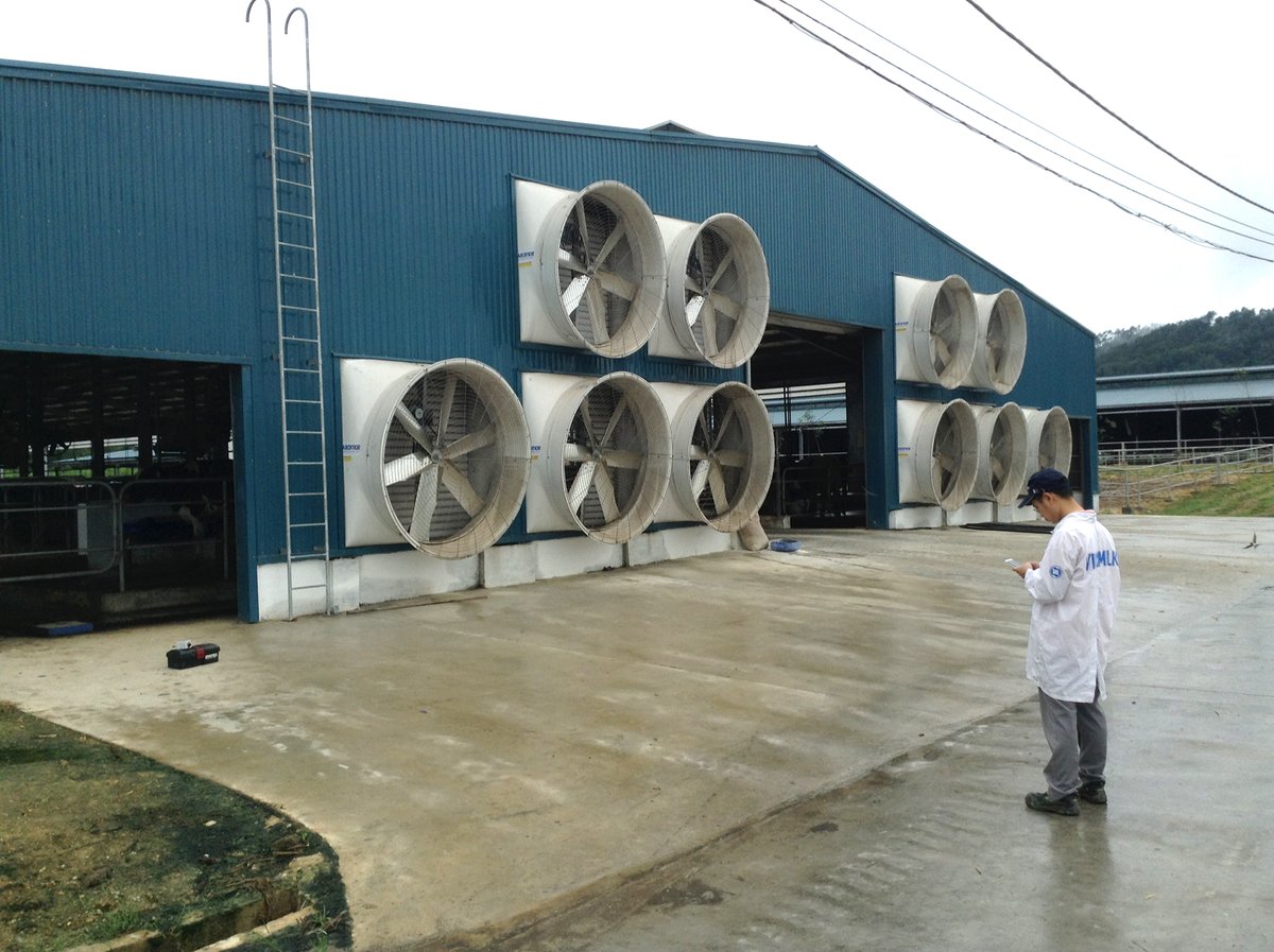 MyFaromor's tweet photo. On #FanFriday, we travel to a dairy barn in Vietnam. The Faromor (a Canarm company) circulation fans keep the cows nice & cool!
#Dairy #CirculationFans #Vietnam https://t.co/wCcQdWpHcp
