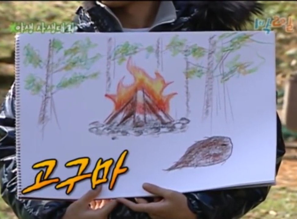 은지원 쓸데없는 정보봇 tweet media