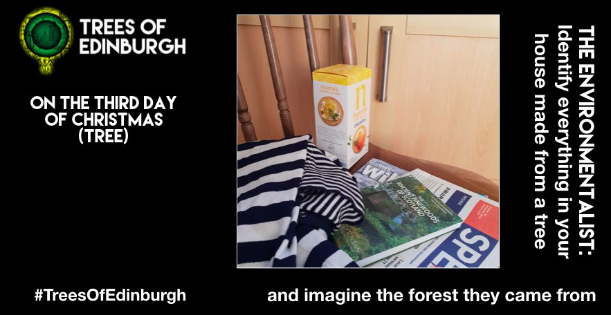 On the third day of Christmas (tree)

THE ENVIRONMENTALIST: Identify everything in your house made from a tree 

and imagine the forest it came from.