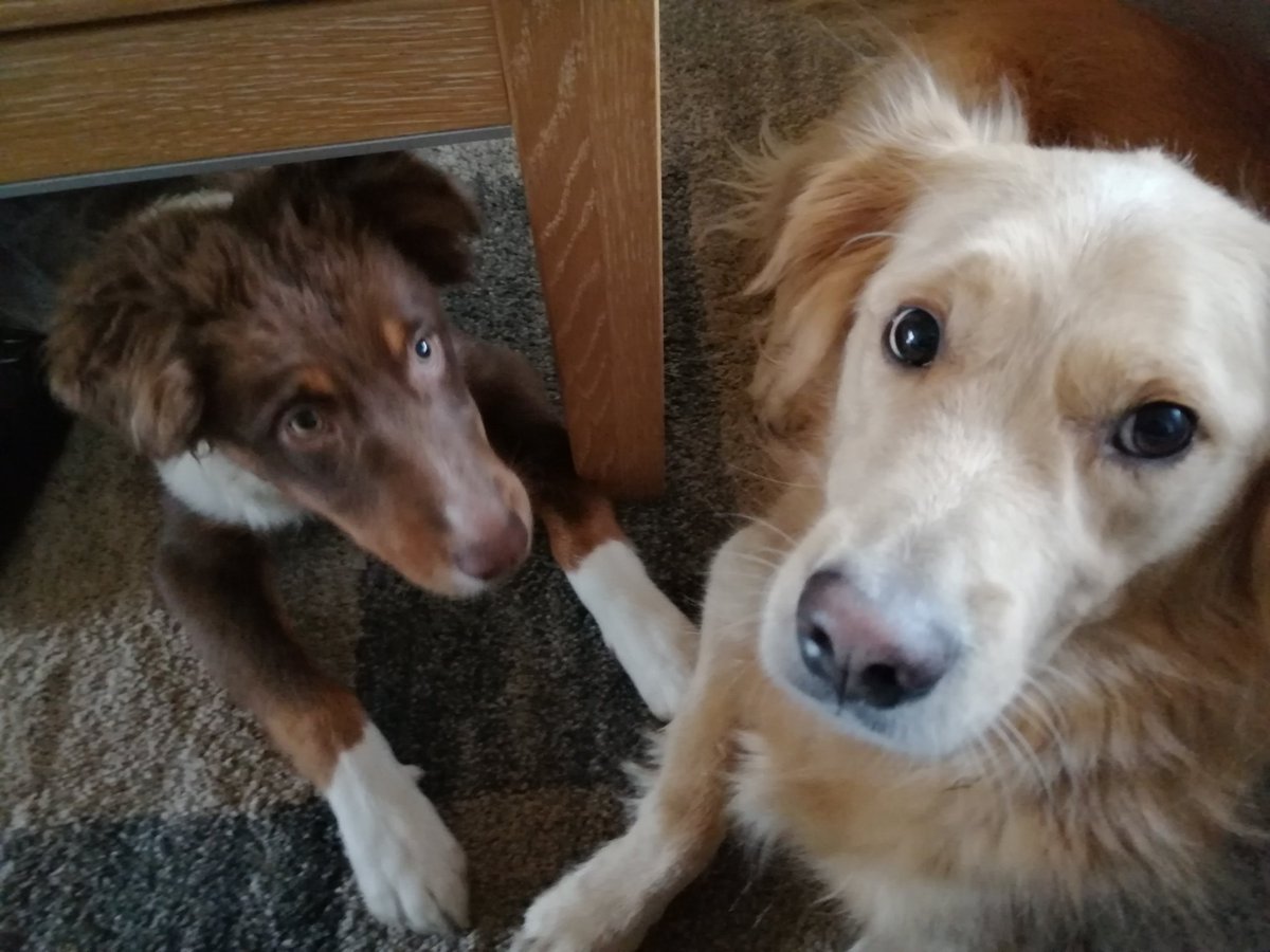 Fühle mich irgendwie beobachtet...