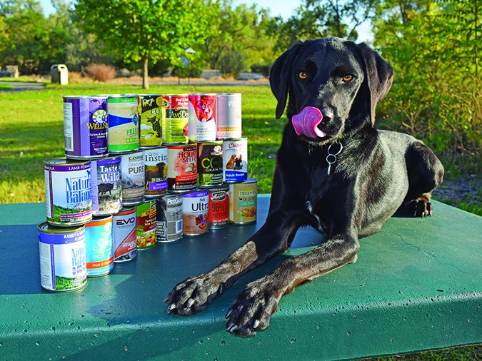 We’re top dog! PetGuard dog food made the <a href="/WholeDogJournal/">Whole Dog Journal</a> 2019 list for Best Canned Dog food. Read more here! #bestdogfood #dogfood bit.ly/2rf54Z4