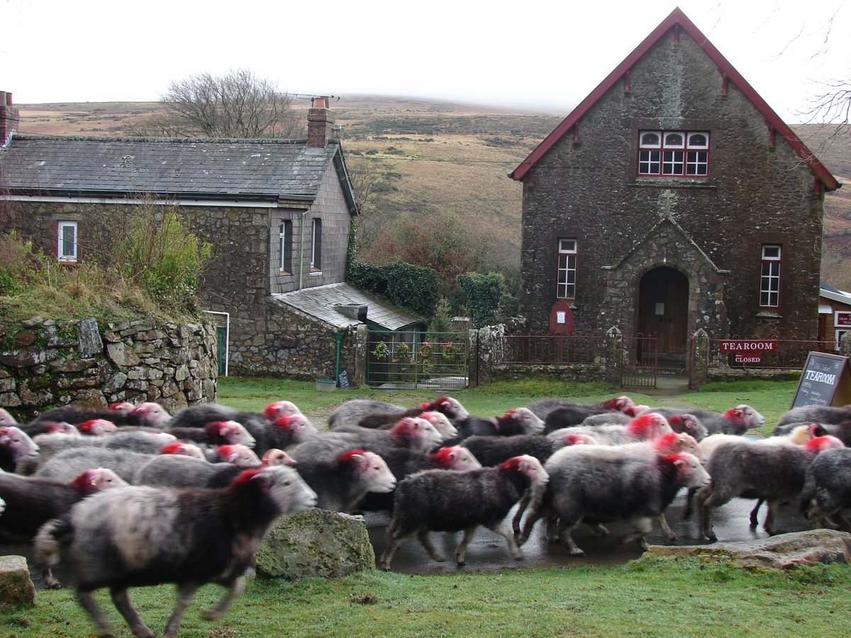 Old School Tearoom Marion Walpole Twitter