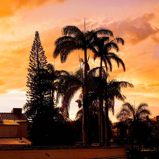 fchgds's tweet photo. Amanecer en Santa Cruz, desde mi ventana... Después de 7 horas de código #palmeras #sunrise #photography #sky #sun #morning #palms #working #earlymorning #developer #santacruz #bolivia https://t.co/Gd3qEcmHnR