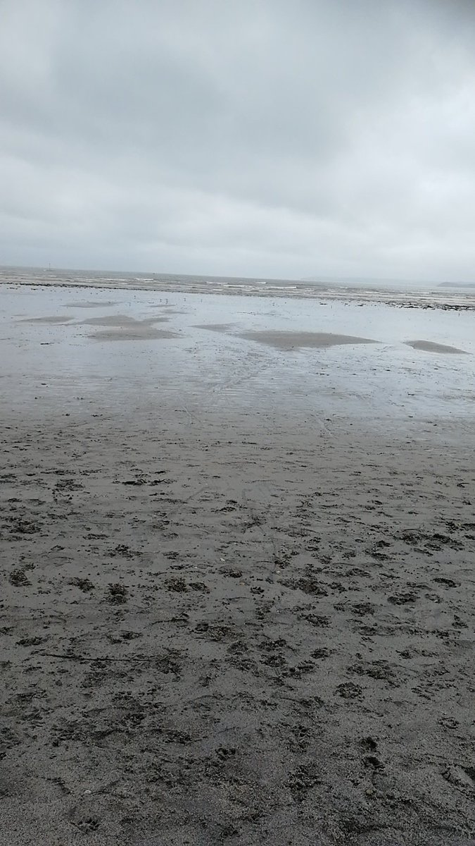 ChloeMartyn98's tweet photo. Do love a beach walk https://t.co/v4SZJUPu2A