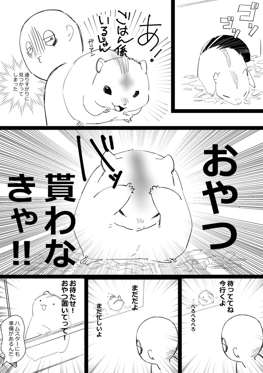 ハムスターは丁寧というか律義な生き物はむ #ハムスター漫画 