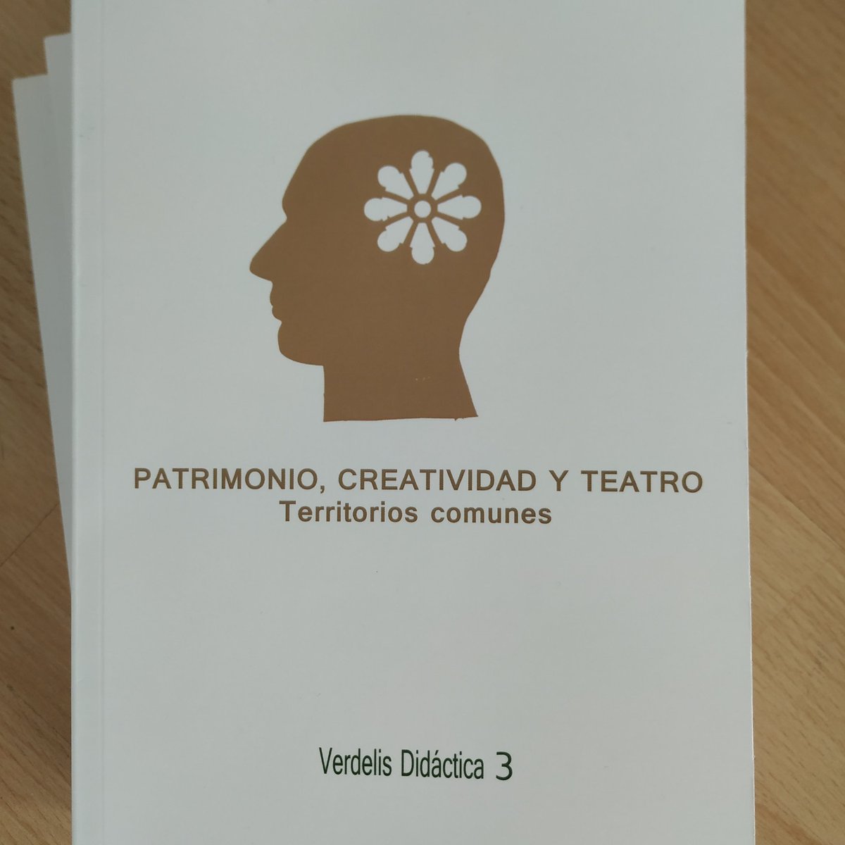 MunillaCarlos's tweet photo. Tercer libro que editamos...cuando llega el papel se olvidan las horas de ordenador. Muy contentos!!!
#proyectoignis #heritagethinking #educacionpatrimonial #epac3 https://t.co/azZdvL30qE
