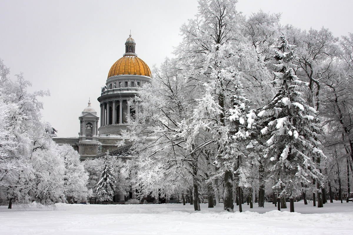 Wild_SPb's tweet photo. Это могли бы быть твои фотографии, но ты живешь в Петербурге образца 2019 года, в котором снег зимой не предусмотрен😞 https://t.co/iMiu01tjqF
