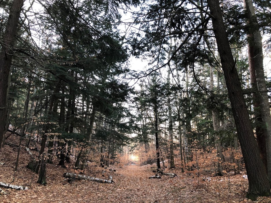 Apricity (noun): The warmth of the sun in winter.