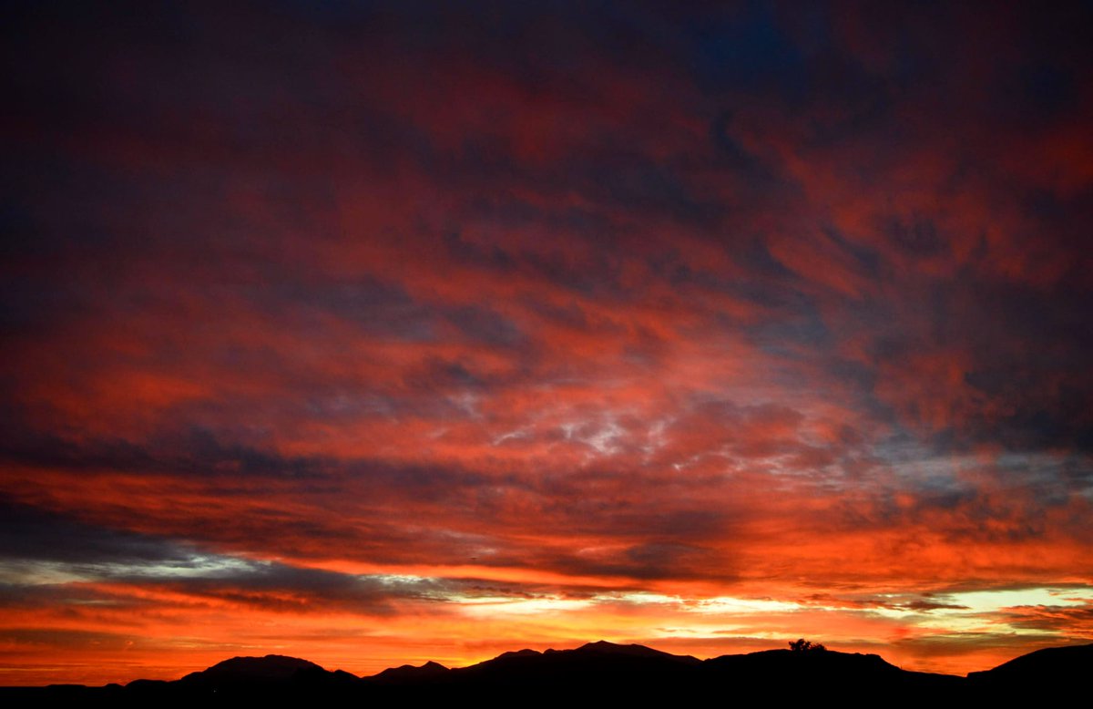 TdjDirecto's tweet image. FOTOGRAFÍA | La tosiriana Lola Madero ha ganado el Concurso de Fotografía del SATSE. Aquí puedes ver sus mejores fotos.