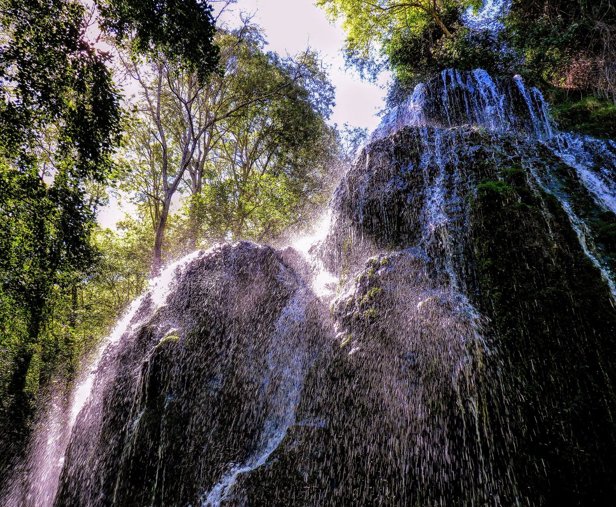 TdjDirecto's tweet image. FOTOGRAFÍA | La tosiriana Lola Madero ha ganado el Concurso de Fotografía del SATSE. Aquí puedes ver sus mejores fotos.