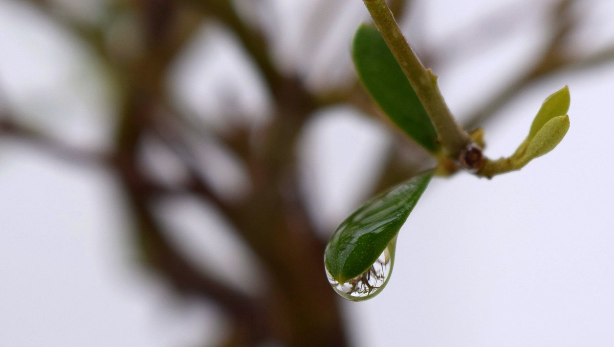 TdjDirecto's tweet image. FOTOGRAFÍA | La tosiriana Lola Madero ha ganado el Concurso de Fotografía del SATSE. Aquí puedes ver sus mejores fotos.
