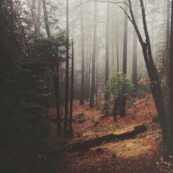 EwalPromo's tweet image. ✻ Uɴᴀ ɪsʟᴀ ᴀɪsʟᴀᴅᴀ ᴇɴ ᴍɪᴛᴀᴅ ᴅᴇ ʟᴀ ɢᴜᴇʀʀᴀ. ¿Hᴀsᴛᴀ ᴅóɴᴅᴇ ᴅᴜʀᴀʀá ᴇsᴀ ᴘᴀᴢ ᴀᴜᴛᴏɪᴍᴘᴜᴇsᴛᴀ? ¿Qᴜé ᴘᴀᴘᴇʟ ᴊᴜɢᴀʀáɴ sᴜs ʜᴀʙɪᴛᴀɴᴛᴇs? ✻

            → ¿Serás tú el héroe de esta historia?
            → RP de fantasía medieval. #EwalRP