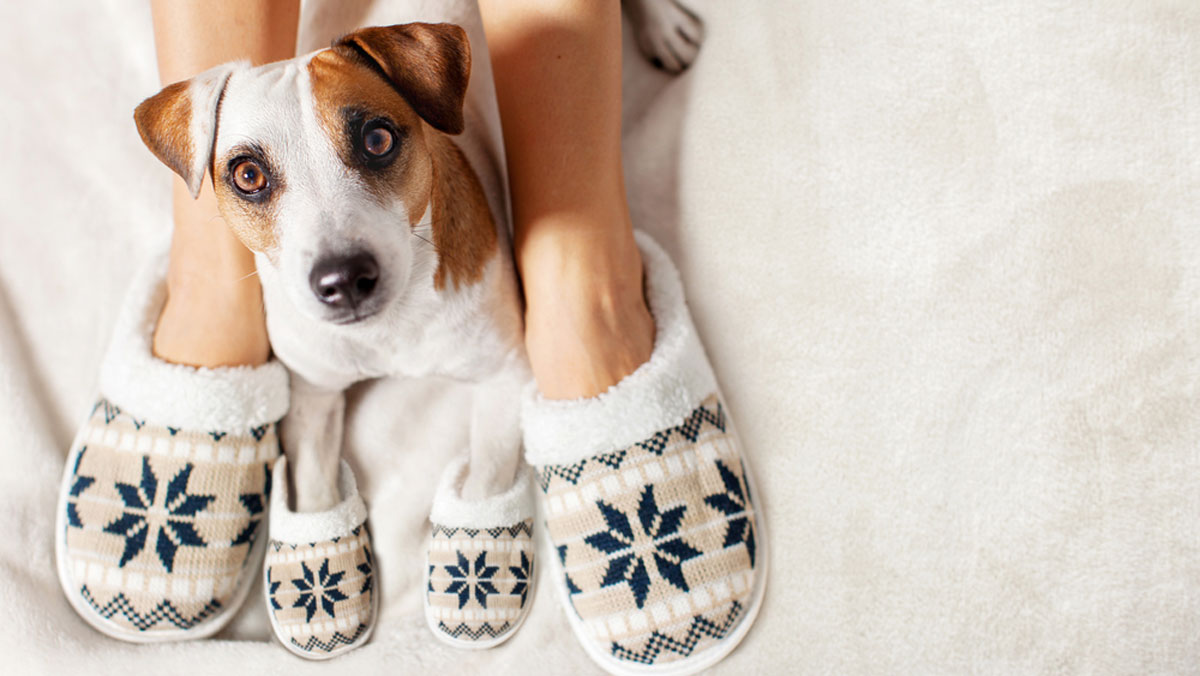 glimmerVIP's tweet image. Snuggled up for the #holidays? Take some time and talk to us! Learn and share about so many topics - from beauty to travel to shopping - on the Glimmer Forum. glimmer.socialmedialink.com/forum#/all