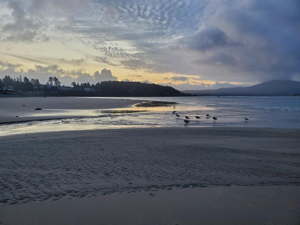 KevinDuska's tweet photo. #netarts morning beach walk #OregonCoast https://t.co/xltx3FQmjJ