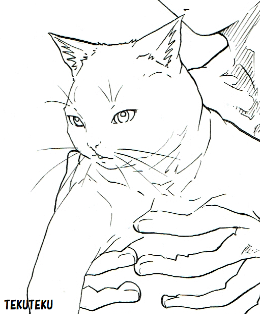 توییتر Tekuteku در توییتر イケメン寄りにゃ Illustration オリジナルイラスト 線画 ペン画 猫好き めっちゃイケメンだと思うんだけどにゃ W T Co Zlj8ow7m9c