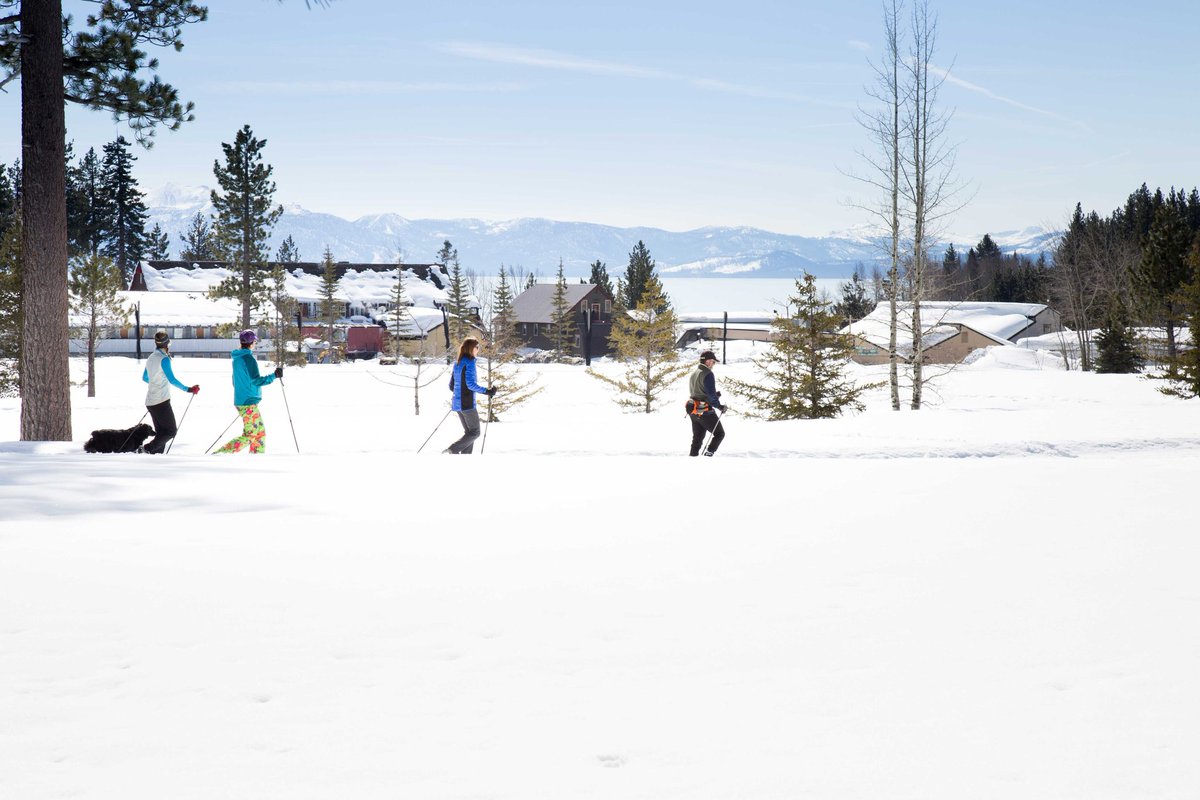 What a view from the @TahoeCityPUD Winter Sports Park, located directly behind downtown Tahoe City! Sledding, XC Skiing, Snowshoeing &amp; Snow Play open 10am-5pm. Ice Skating open 10am-8pm. Purchase your season passes to enjoy unlimited family-friendly winter fun in Tahoe City! ☃️❄️